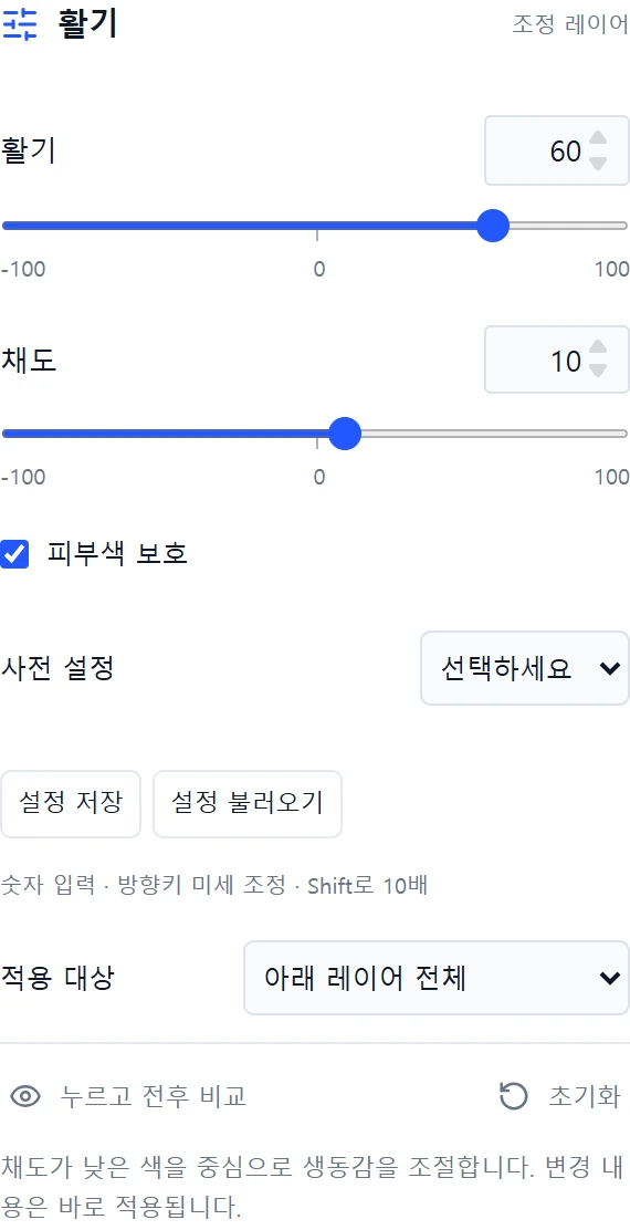 최종 설정인 활기 60, 채도 10, 피부색 보호 패널
